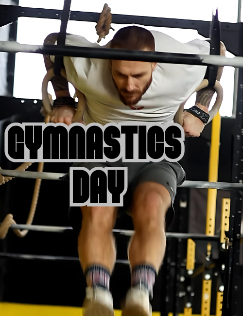 ginnastica ring muscle up e bar muscle up lezioni private bologna castenaso
